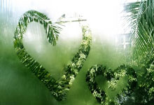 委内瑞拉足球队取得重要胜利